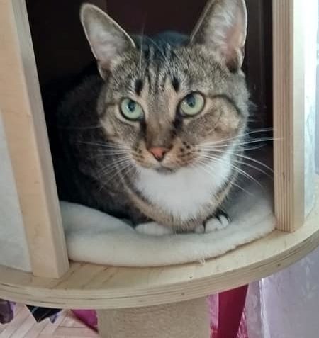 DEXíK A JEHO FAMILY...