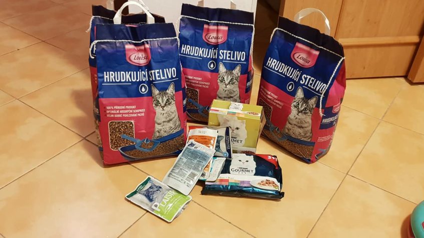 DĚKUJEME VŠEM DNEŠNÍM NÁVŠTĚVÁM ZA HROMADU DÁRKŮ, DARŮ A DÁR...