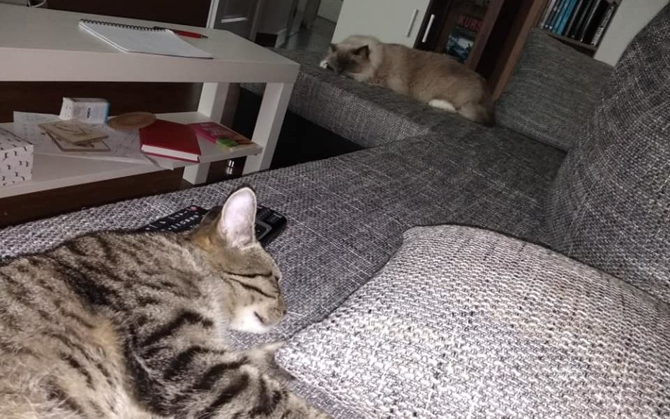 KRÁSNÝ PŘÍBĚH Z DOMOVA OD MAREČKA TEĎ UŽ RONA /RONÍKA /RON...