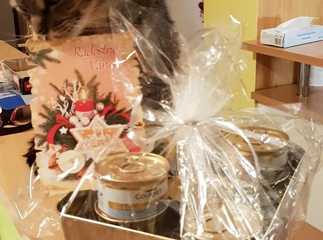 LUMPIK ZKOUMÁ DÁREČEK PRO VŠECHNY KOČIČKY  OD PANÍ BARVINKOV...