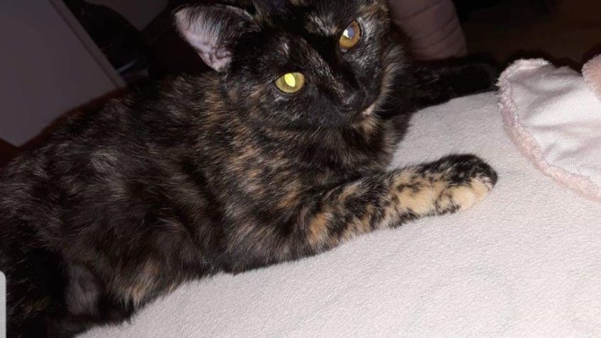 MUŠKA POZDRAVUJE SLUNÍČKA...