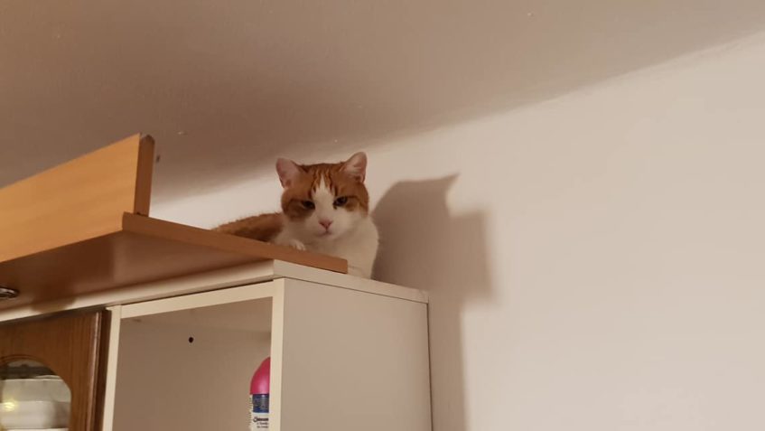 ONDRÁŠEK  SI NAŠEL NOVOU SCHOVKU PŘED VÁNOČNÍM SHONEM