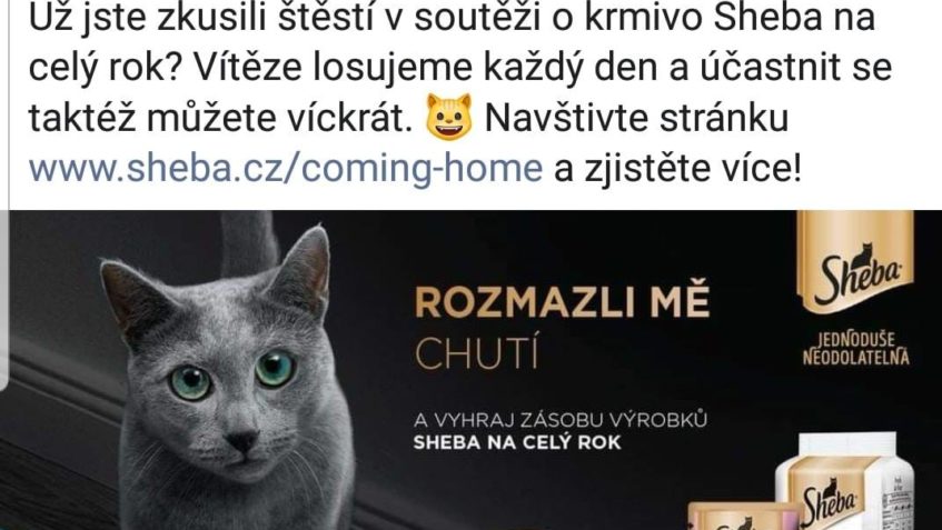 PANÍ  Ali Zemanka  PRO NAŠE SLUNÍČKA VYHRÁLA V SOUTĚŽI S She...
