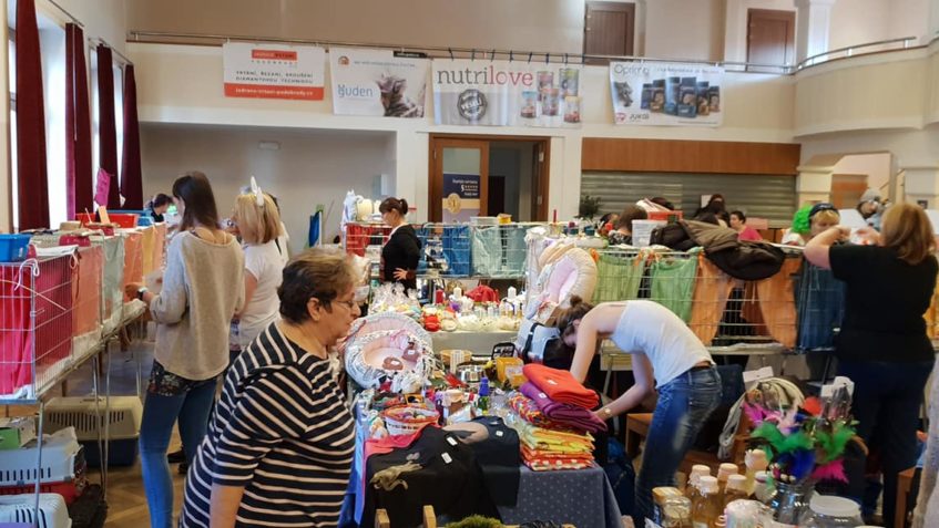 PŘIJĎTE SE ZA NAMI PODIVAT DO SOKOLOVNY V PRAZE V ŘEPÍCH NA ...