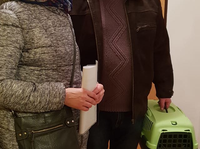 RODIČE DNES TAKÉ NAŠLA VLASTIČKA ÚŽASNÁ MOUROVATA KOČIČKA, ...