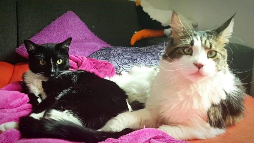 SKITTLESNIČKA  PÍŠE DO SLUNÍČKA...