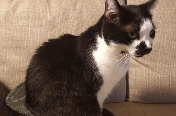 SLAVEČEK A EVŽENEK PRO SLUNÍČKA...