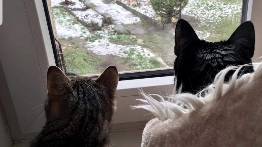 U ŠILHÁNKA UŽ PRIPRAVUJI   JEHO NOVÁ KAMARÁDKA A LÁSKA SE JM...