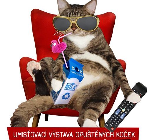 UŽ SE NÁM TO BLÍŽÍ  TĚŠÍTE SE TAKÉ?...