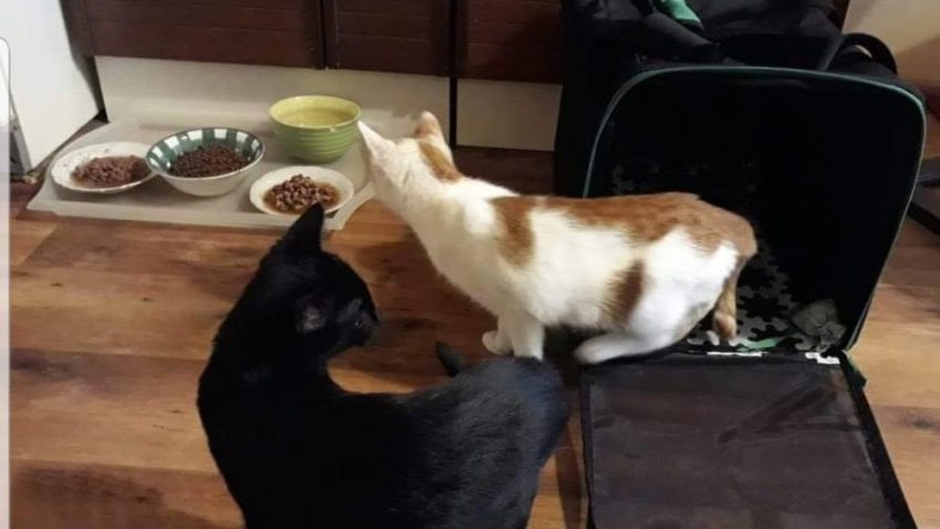 VAJO A KOLJA  JEŠTĚ NA FOTKÁCH...