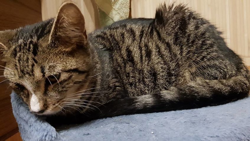 Zpravodajství do 9.12.2018...