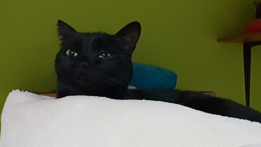 ZÍTRA PŘIJDE JEŽÍŠEK  POJĎME UŽ SPÁT. PŘEJE SI KAROLKA