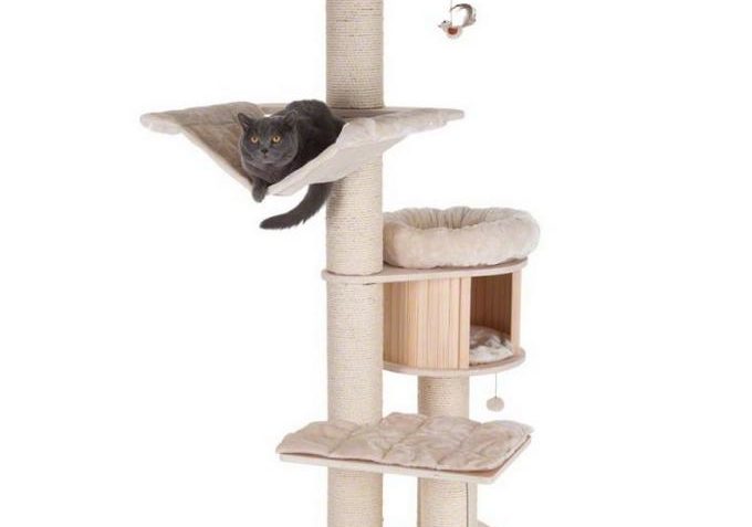 Škrabadla pro Sluníčko - Kočičí domov Sluníčko z.s. - Kočičí přání