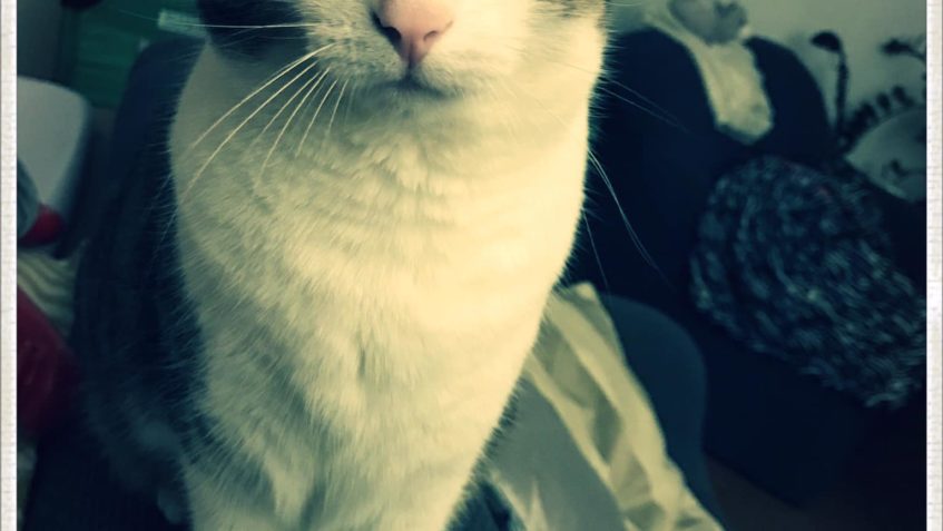 A teď vážně. Zrzavej je trošku mimo. Už delší dobu ho sledu...