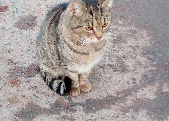 BARUŠKA JE MOC KRÁSNÁ, PŘIMLOUVÁME SE ZA NÍ....