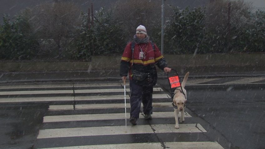 Chcete mě? — Česká televize