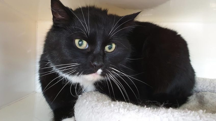 DNES PŘIJATÝ 6,5 KG DROBEČEK...