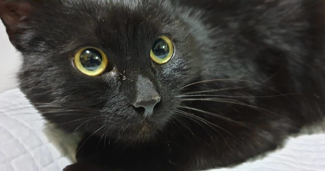 DNES ULTRA NÁLOŽ NA KLINICE!...