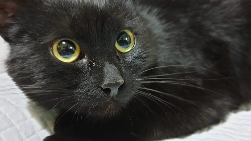 DNES ULTRA NÁLOŽ NA KLINICE!...