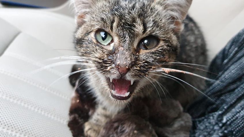 DNES ZACHRANĚNE MIMINO . NAŠLI HO DOBŘÍ LIDÉ NA PROCHAZCE ZA...