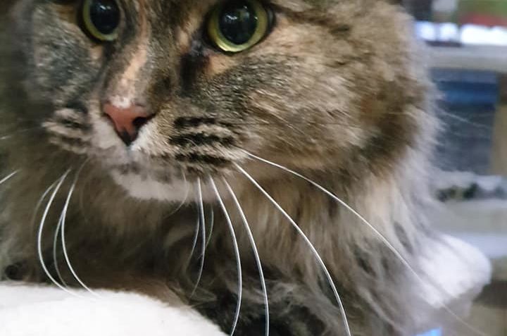 DNEŠNÍ SMUTNÝ PŘÍJEM...