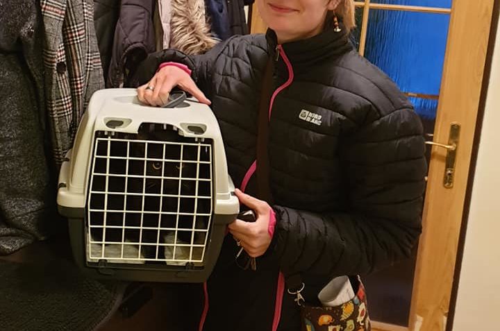 DOMŮ ODEŠEL I LAKY...