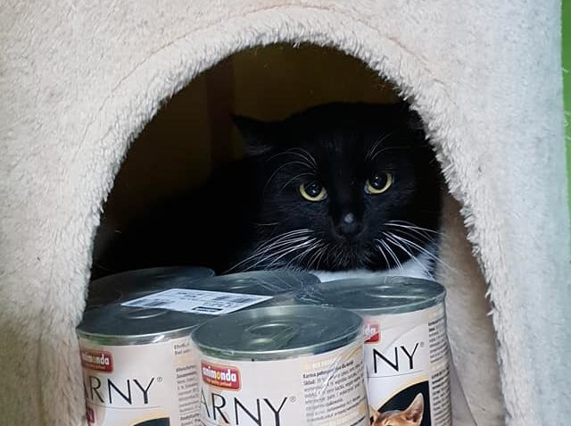 FOCENÍ FOTOGRAFIÍ  , KTERÉ BUDOU ZASLÁNY DÁRCŮM JAKO PODĚKOV...