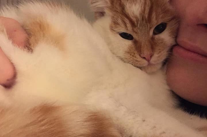 GRETIČKA JE DOMA K NEUMAZLENÍ...