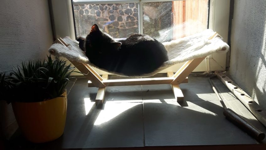 HAPPY v novém domově MOUREK...