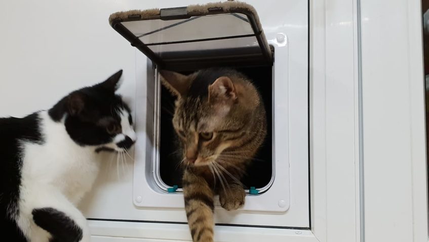 JA JDU DOVNITŘ A TY VEN!  NE JÁ JDU VEN A PAK TY DOVNITŘ! T...