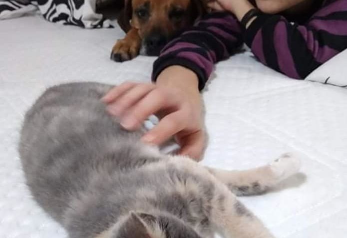 KAIRA A MEDA si užívají plnými doušky života v milujícím  do...