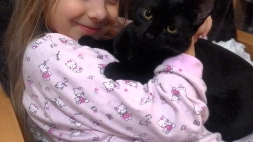 KOČIČKA ČERŤULKA ODEŠLA DOMŮ NEDÁVNO, TAKTO SI UŽÍVÁ DOMOVA ...