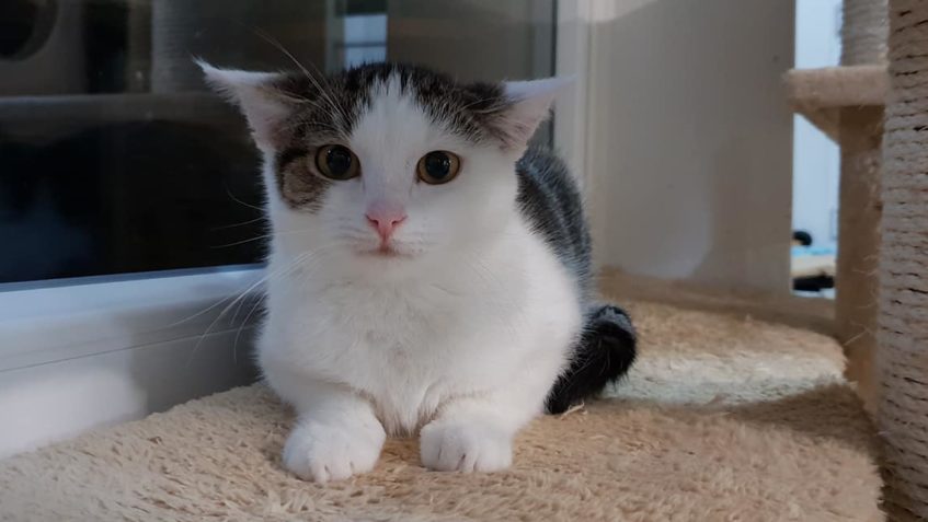 NEJSOU NÁDHERNÁ  TA NAŠE SLUNÍČKA ?