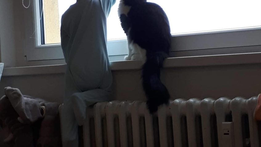 OČKO v novém domově už dlouho THEO...