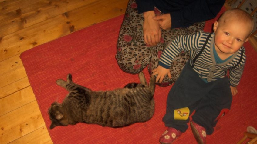 PO ČASE SE NÁM OZVALA  KOČIČKA KULINKA...