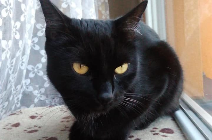 POZDRAV OD JENÍČKA...