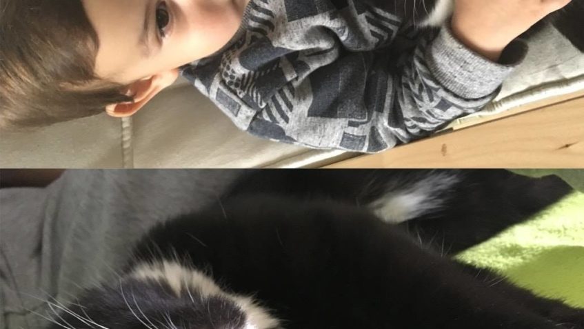 ROZMARÝNEK  a TYMIÁNEK  - DŘÍVE FORDÍK...