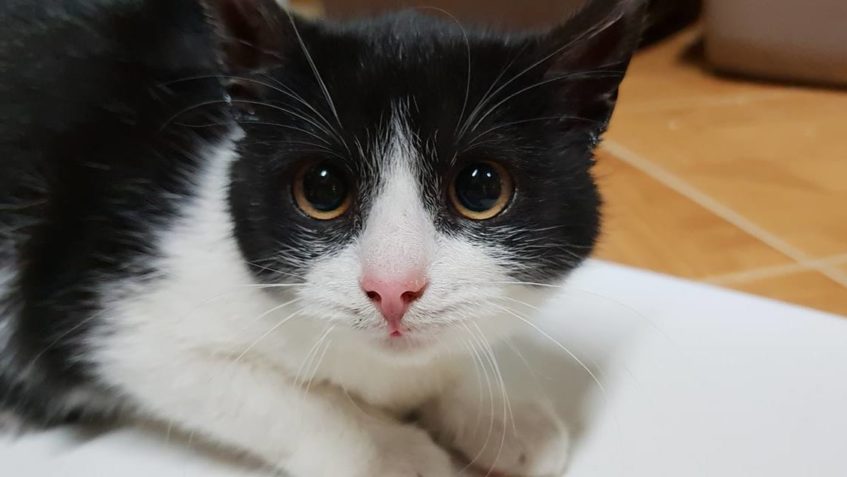 SESTŘIČKA jak se patří je CHŇAPKA...