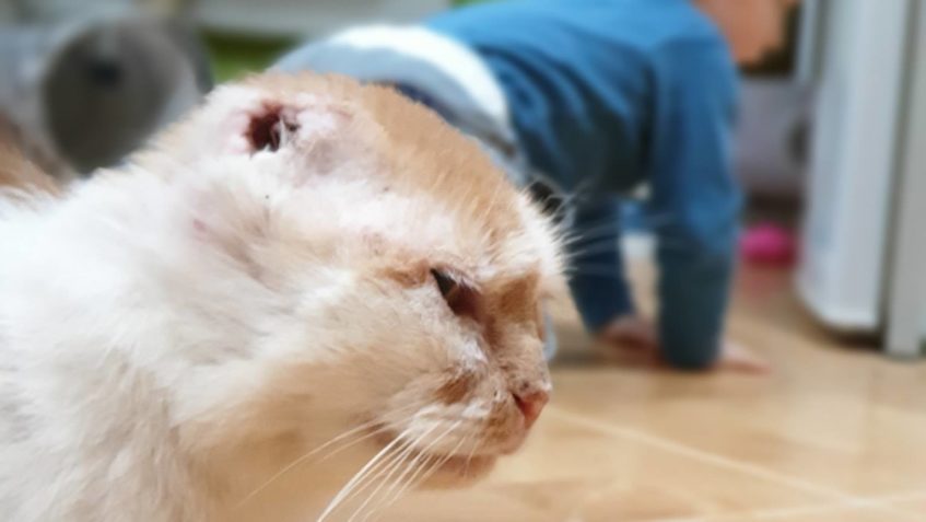 STÁŘÍ  A MLADÍ...