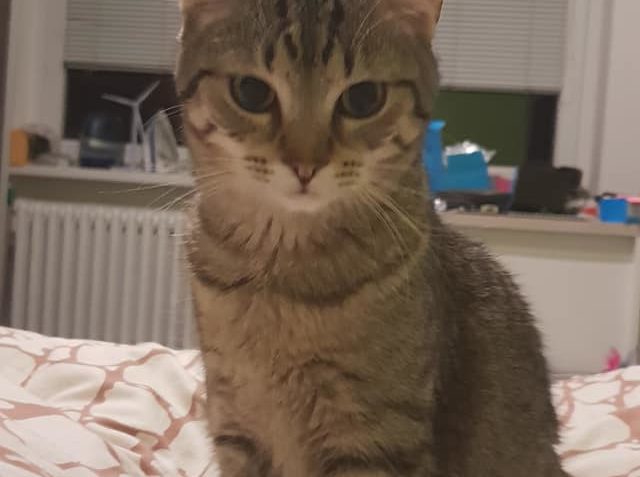 SYČÍKA BUDOU MUSET RODIČE PŘEJMENOVAT  - PŘESTÁVÁ SYČET...