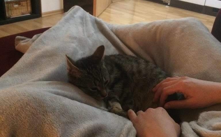 TRUHLÍK ZDRAVÍ Z NOVÉHO DOMOVA...