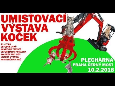 Umíťovací výstava koček - 10.2.2018 - Plechárna Praha Černý Most