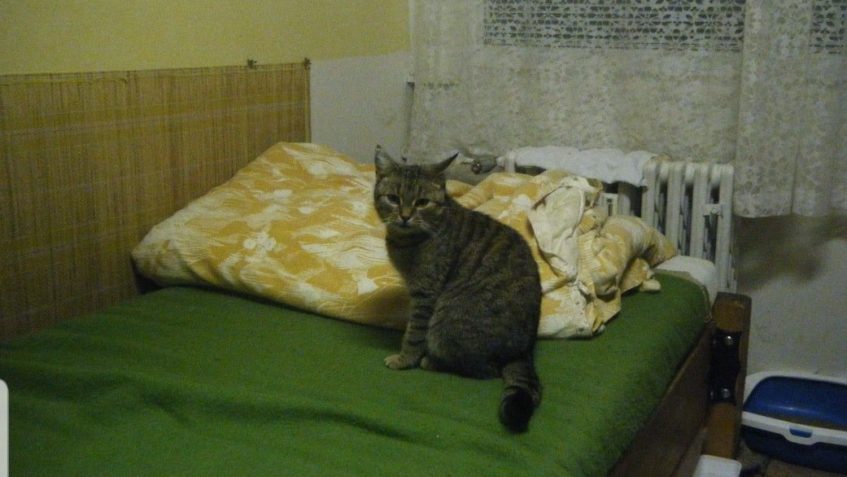 VLASTIČKA SI UŽÍVÁ SVÉ DOMA...