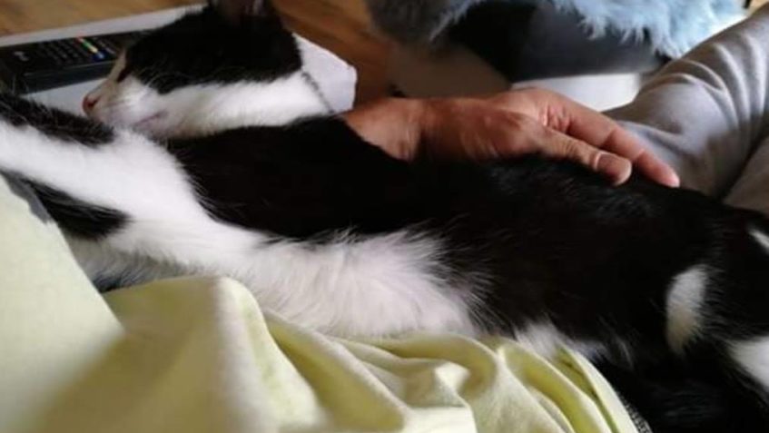 ZPRÁVY OD BETINKY  Děkujeme...