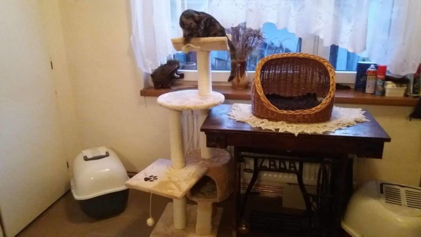 0RINCEZNA ODETKA  NESMÍRNĚ ZVÍDAVÉ A SPOLEČENSKÉ STVOŘENÍ...