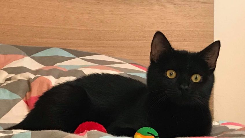 A JEŠTĚ PÁR FOTEK ČIKITKY/SANELKY  Moc jejím rodičům děkujem...