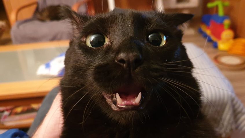 A UŽ VŠICHNI ŠVIHEJTE DO TĚCH PEŘIN - HAJDY CHRÁPAT - NEBO N...