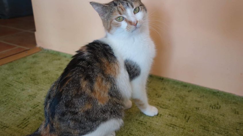 BARUŠKA POZDRAVUJE KAMARÁDY DO SLUNÍČKA...