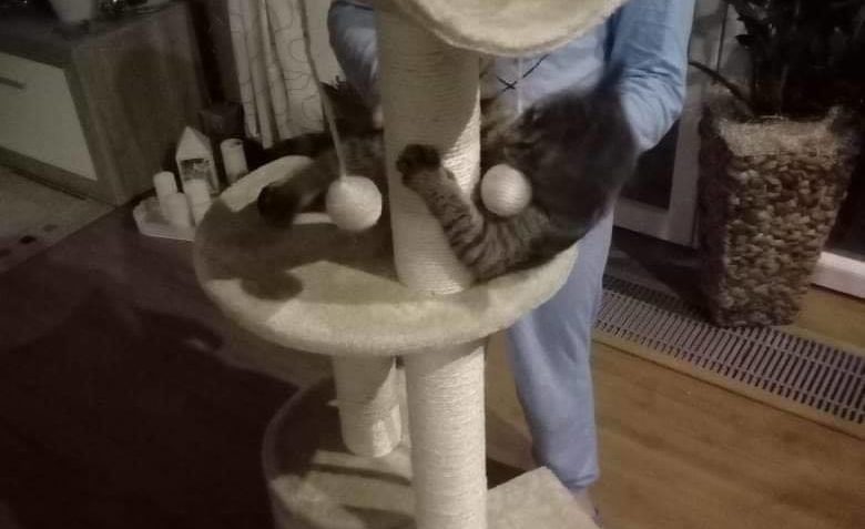 BOŘÍK JE V NOVÉM DOMOVĚ HODNÝ A TAK DOSTAL HNED ÚŽASNÝ DÁREK...