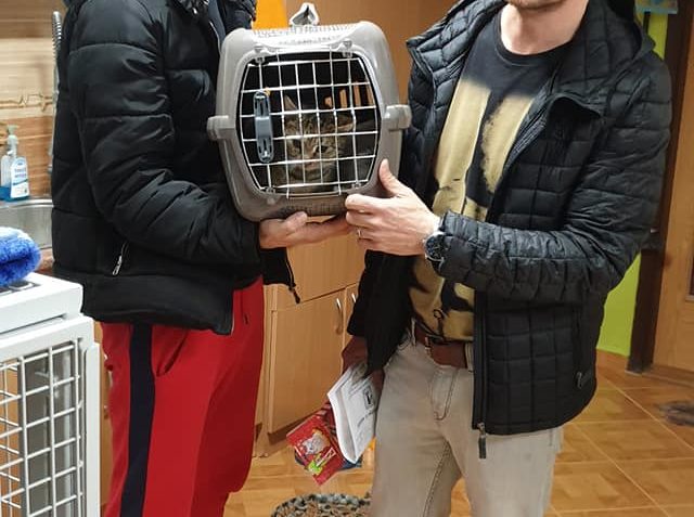 DO NOVÉHO DOMOVA  KE KOČIČÍM KAMARÁDŮM  a do skvělé rodiny O...